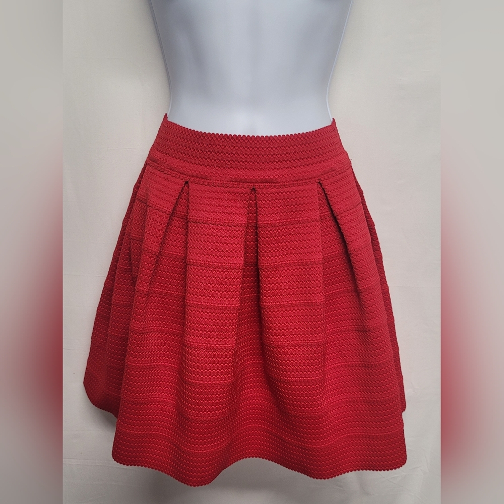 Express Red Circle Skirt